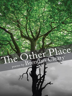 cover image of The Other Place